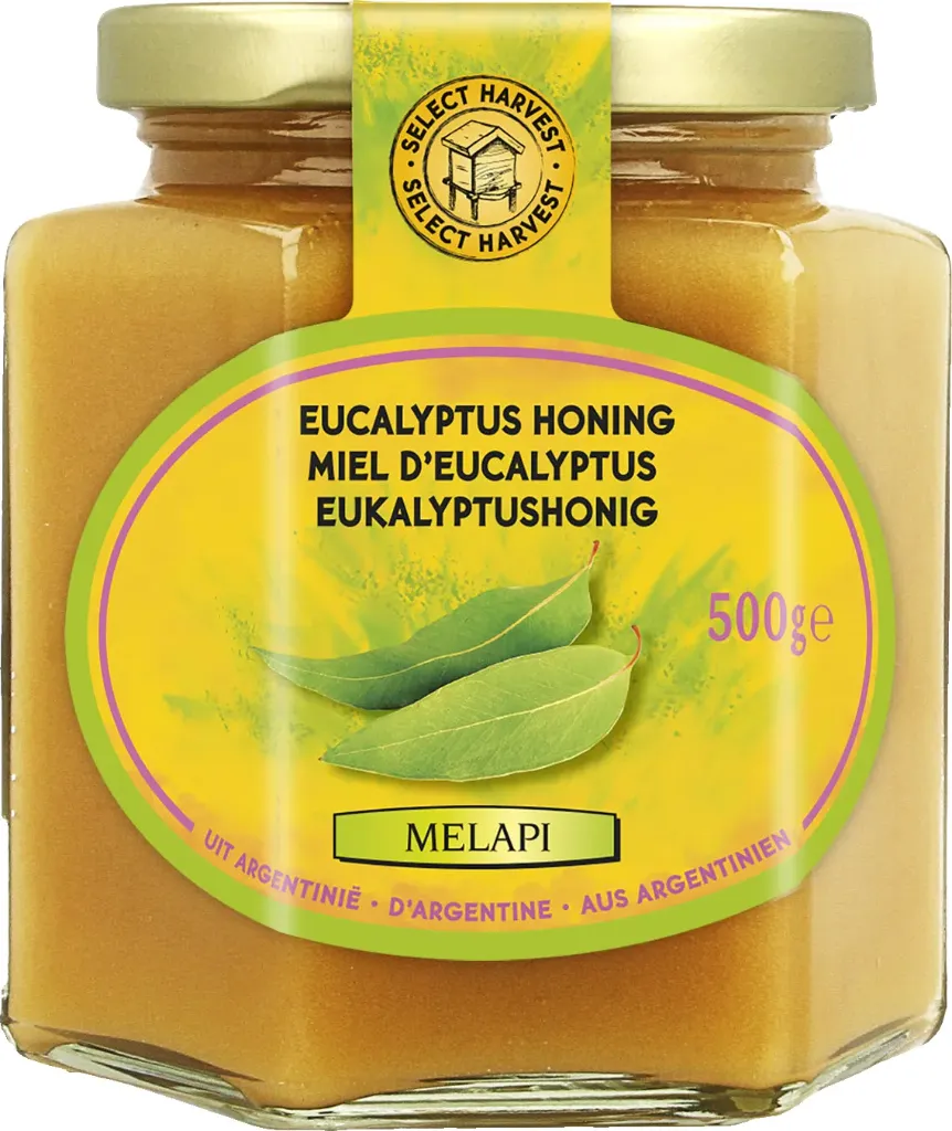 [5014] Melapi miel d'eucalyptus dur 500g